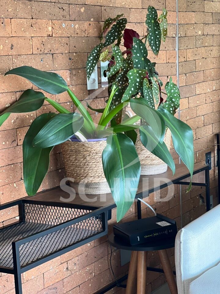 Foto 3