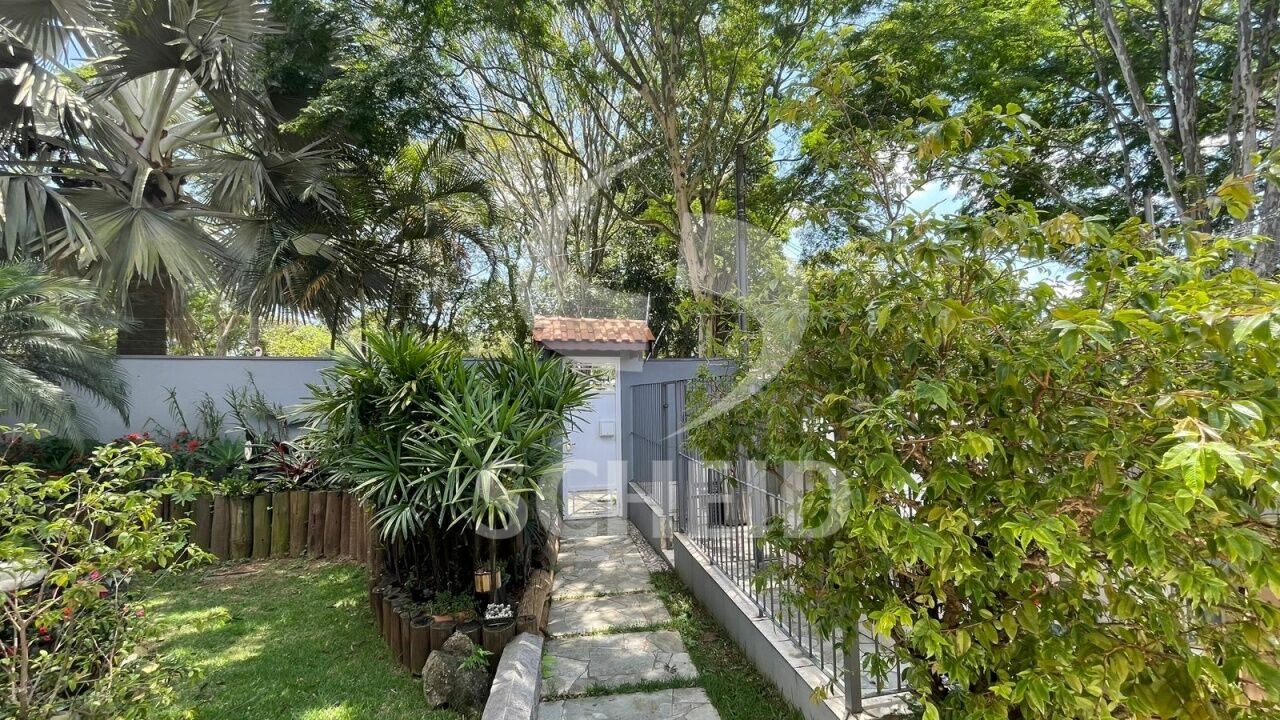 Foto 41