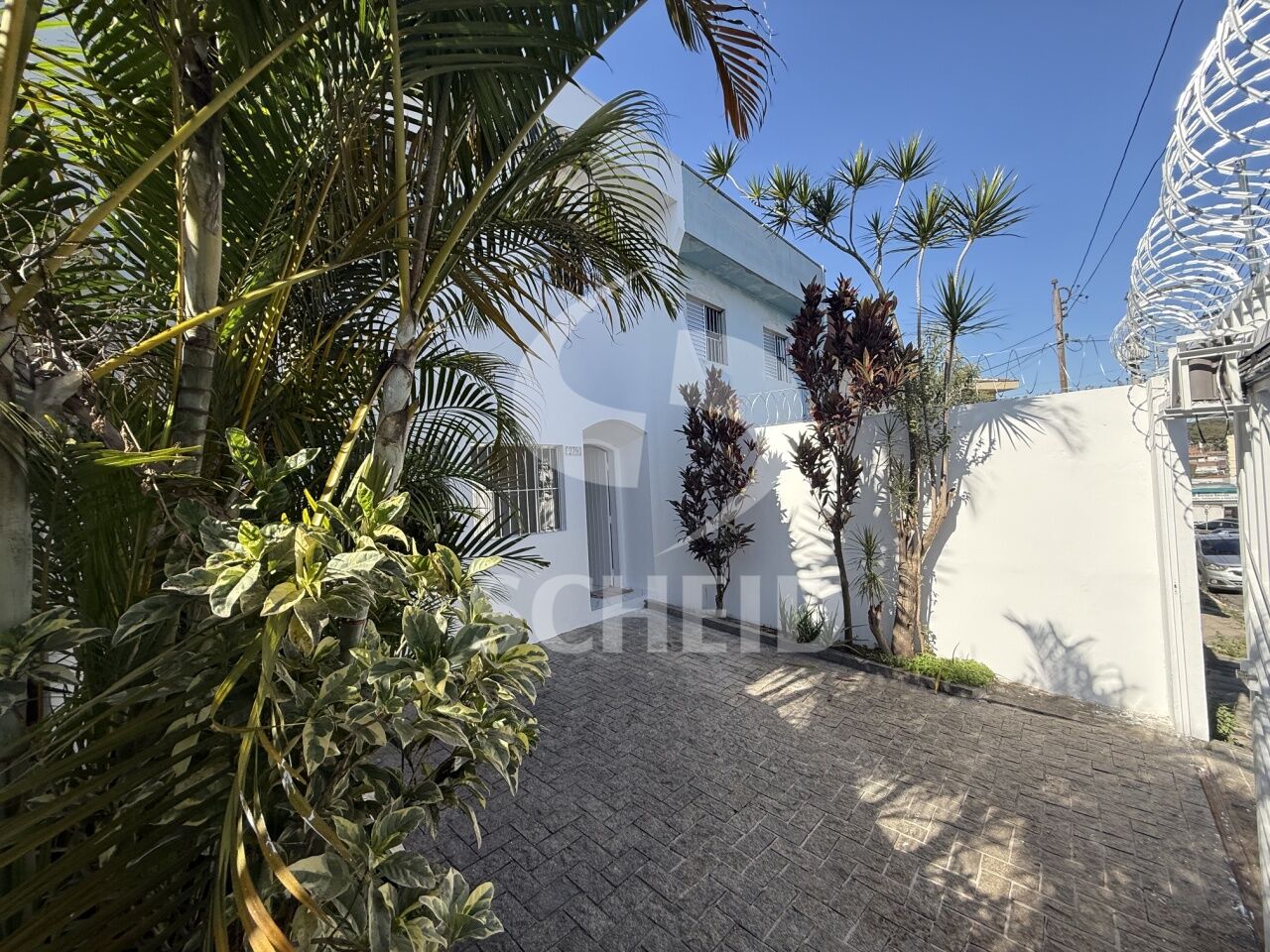 Foto 19