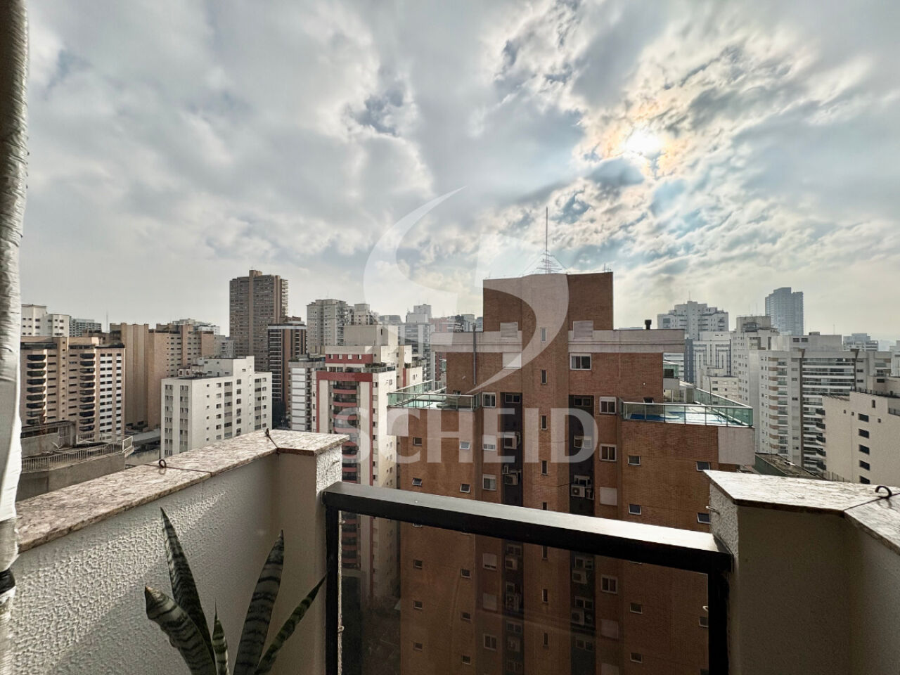 Foto 19