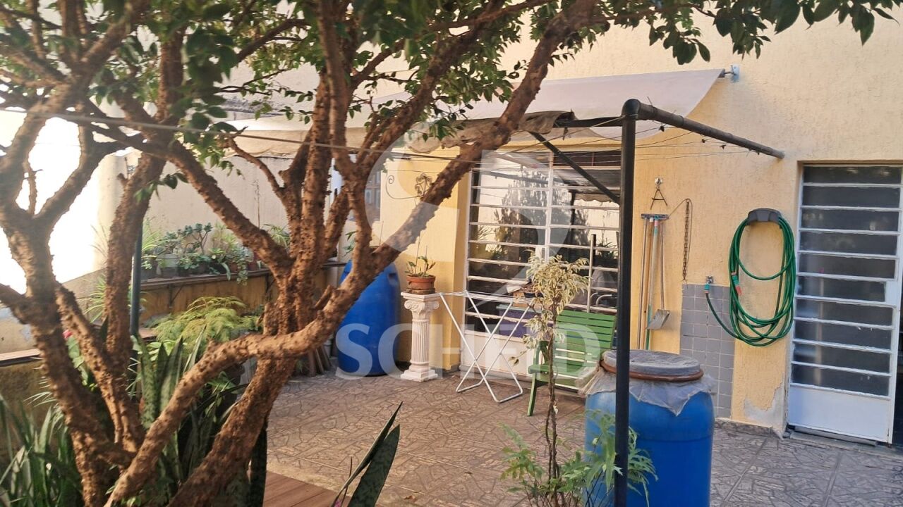 Foto 45