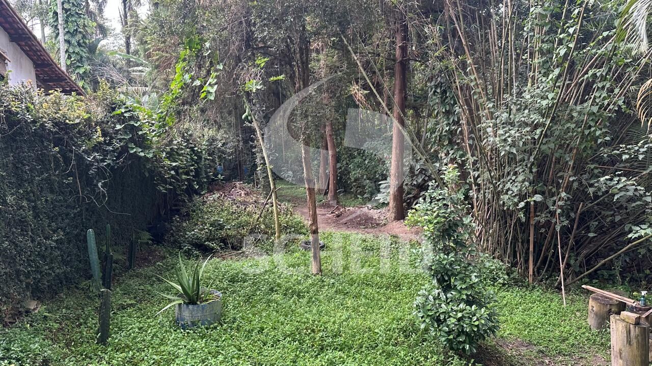 Foto 47