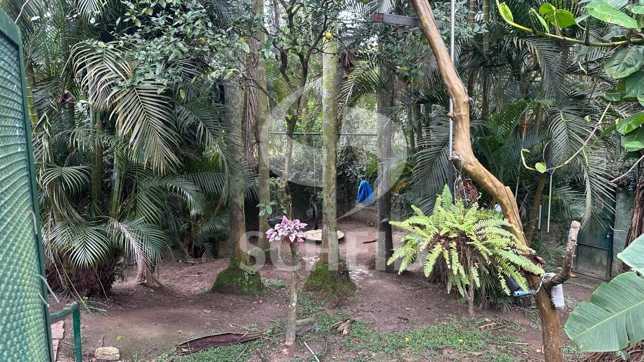 Foto 34