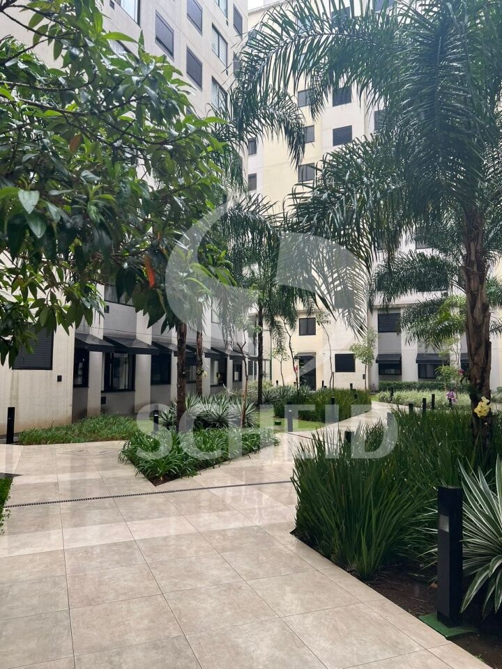 Foto 19