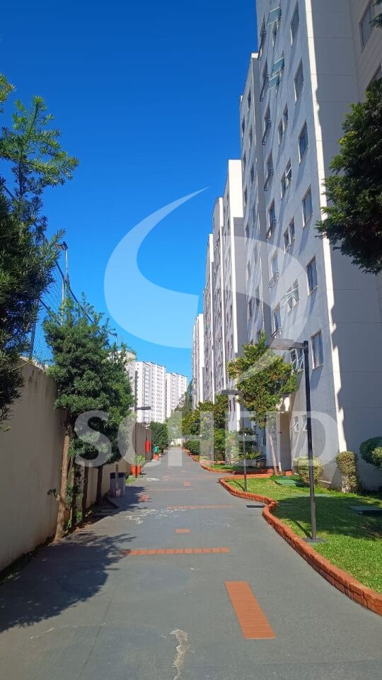 Foto 35