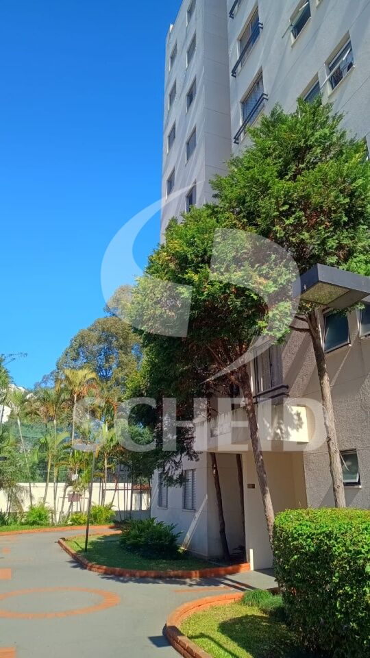 Foto 44