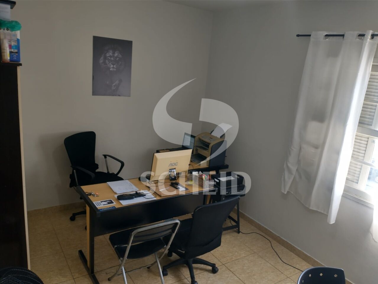 Foto 7
