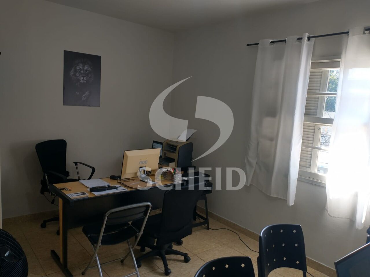 Foto 10