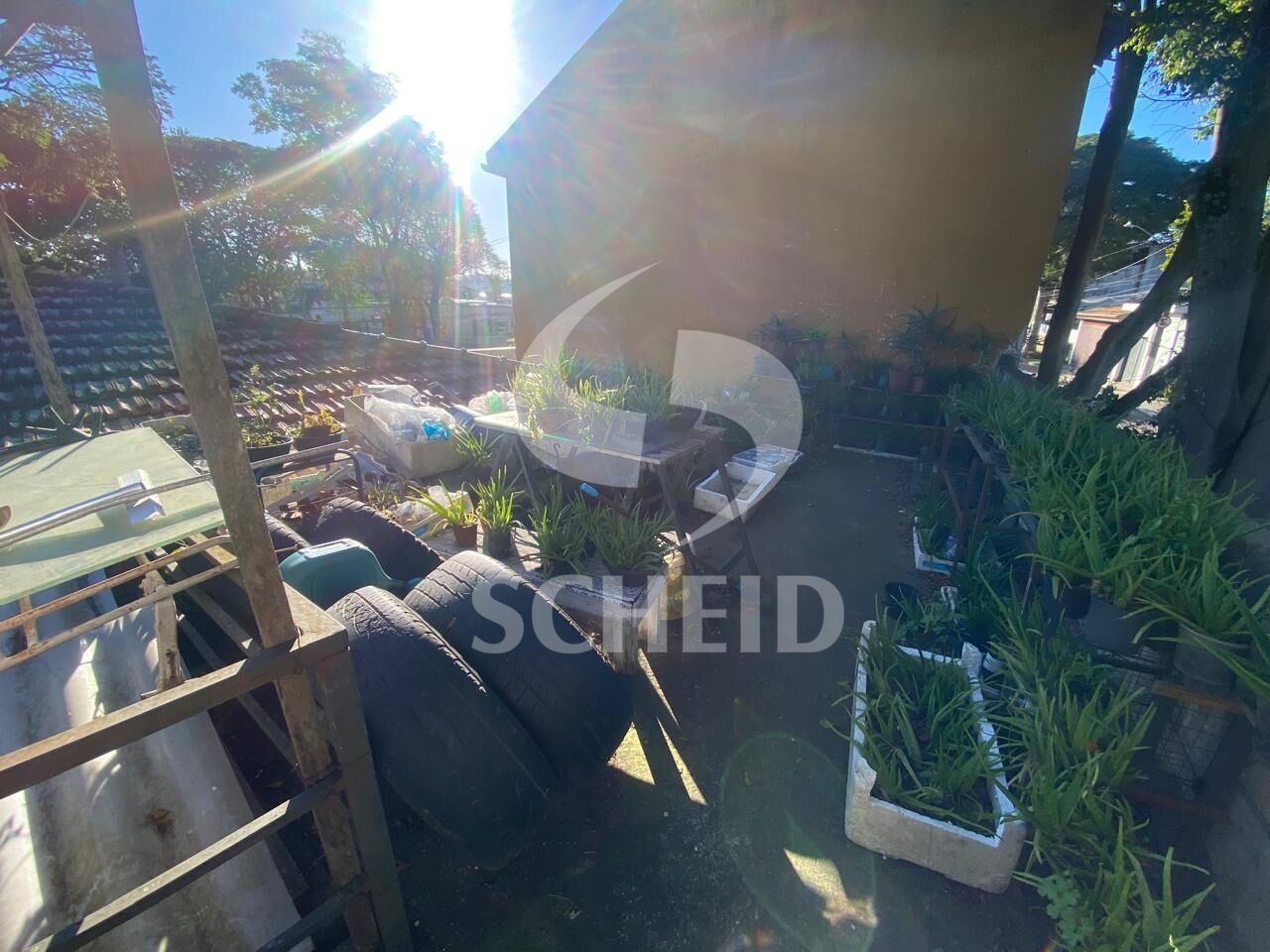 Foto 16