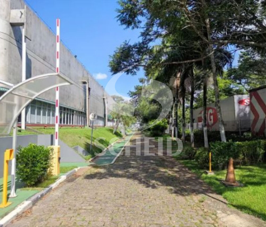 Foto 13