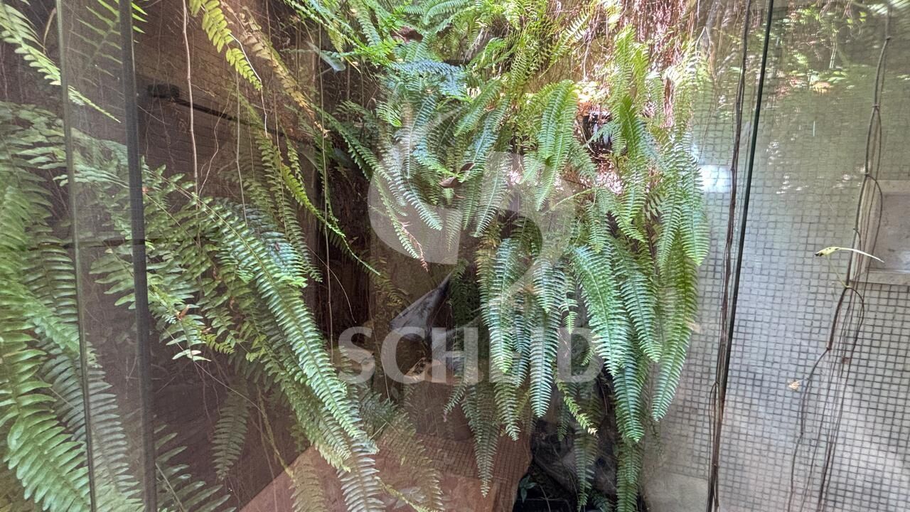 Foto 28