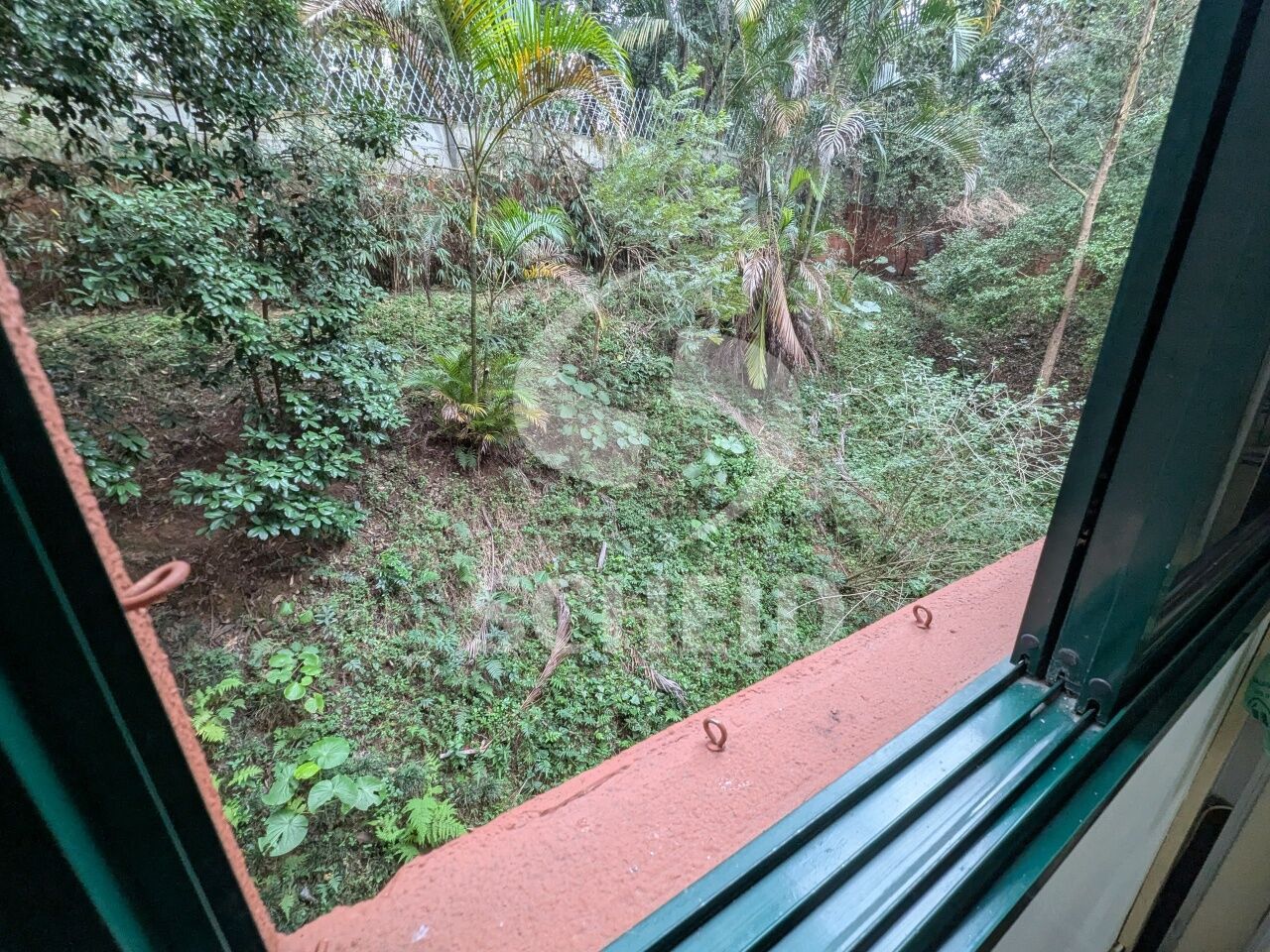 Foto 16
