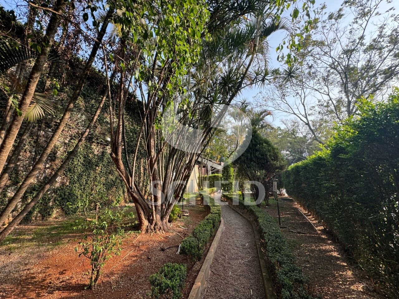 Foto 30