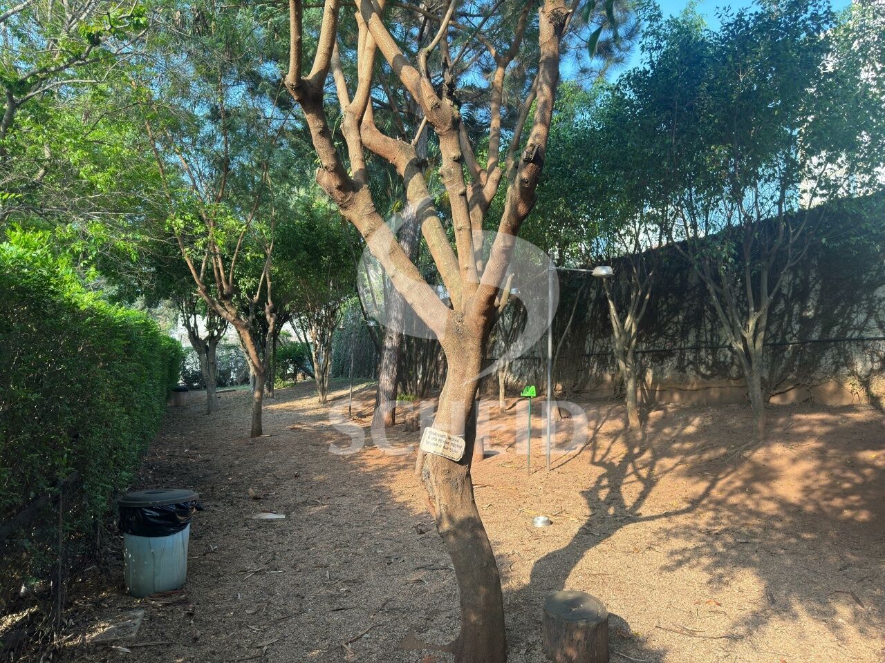 Foto 32