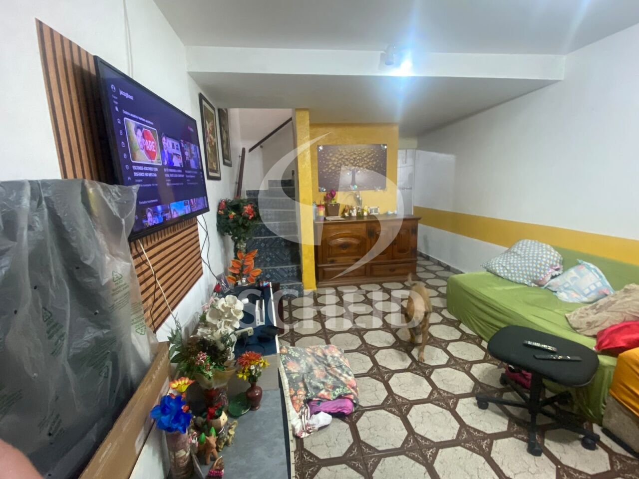 Foto 7
