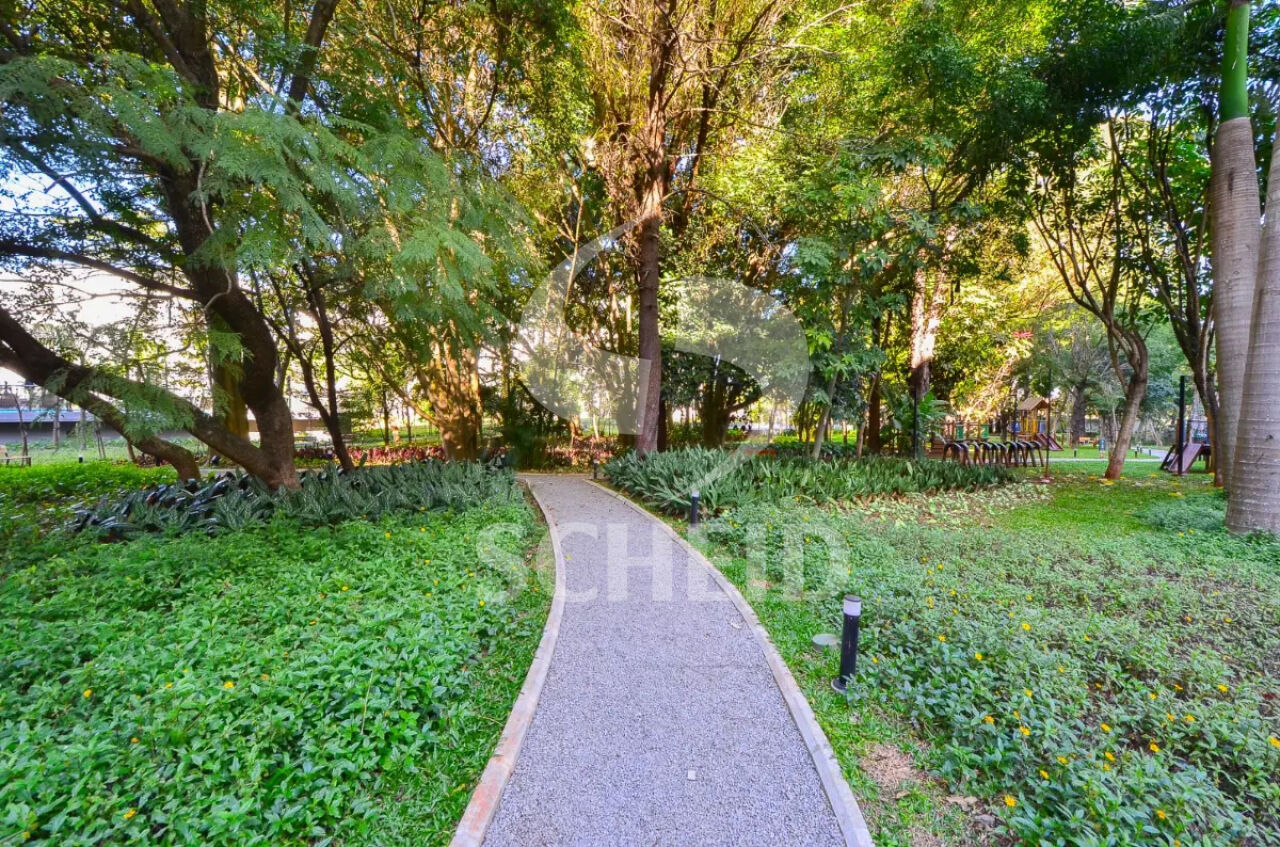 Foto 41