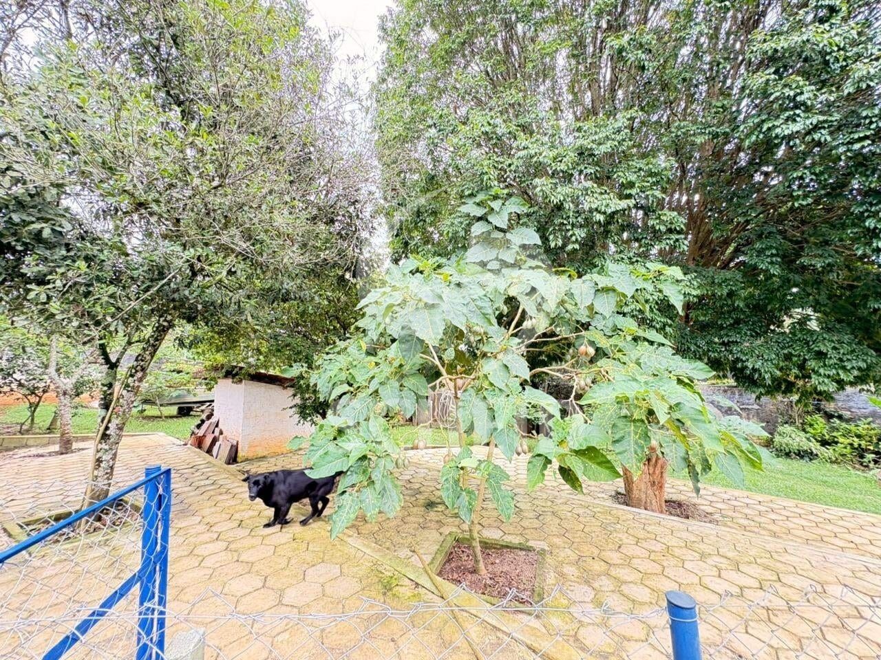 Foto 44