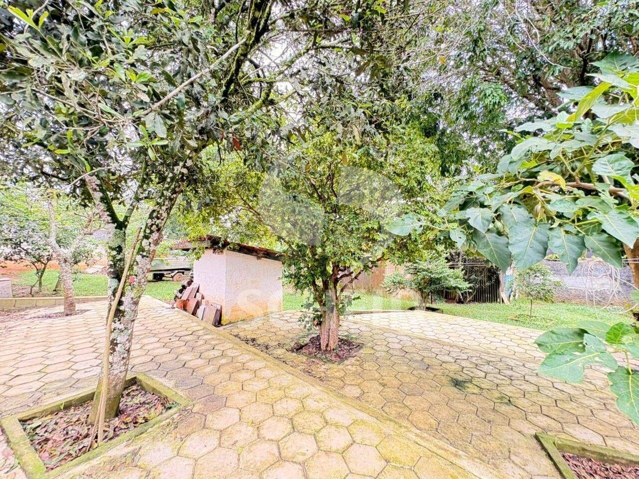 Foto 46