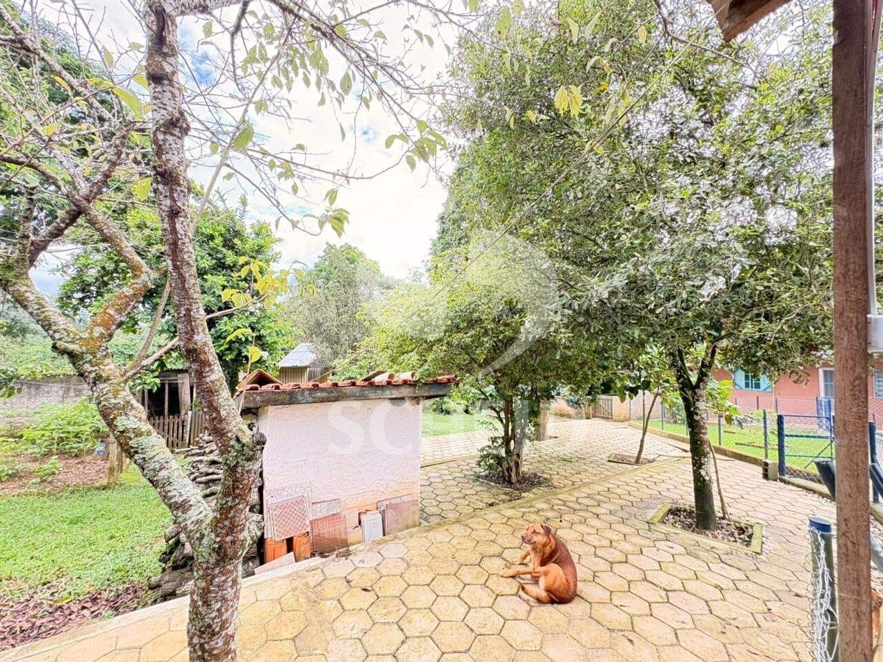 Foto 43