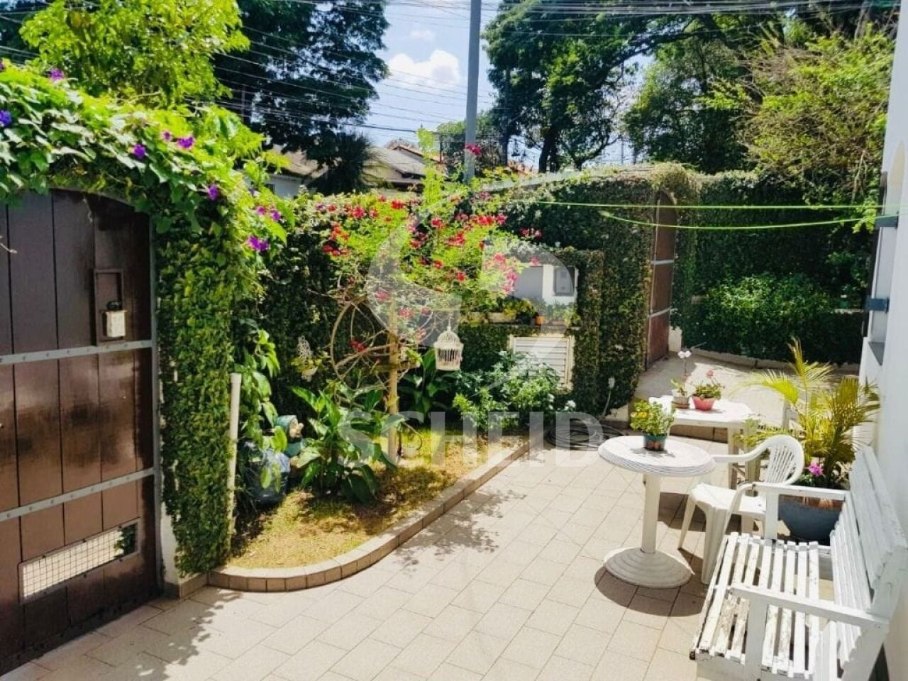 Foto 34
