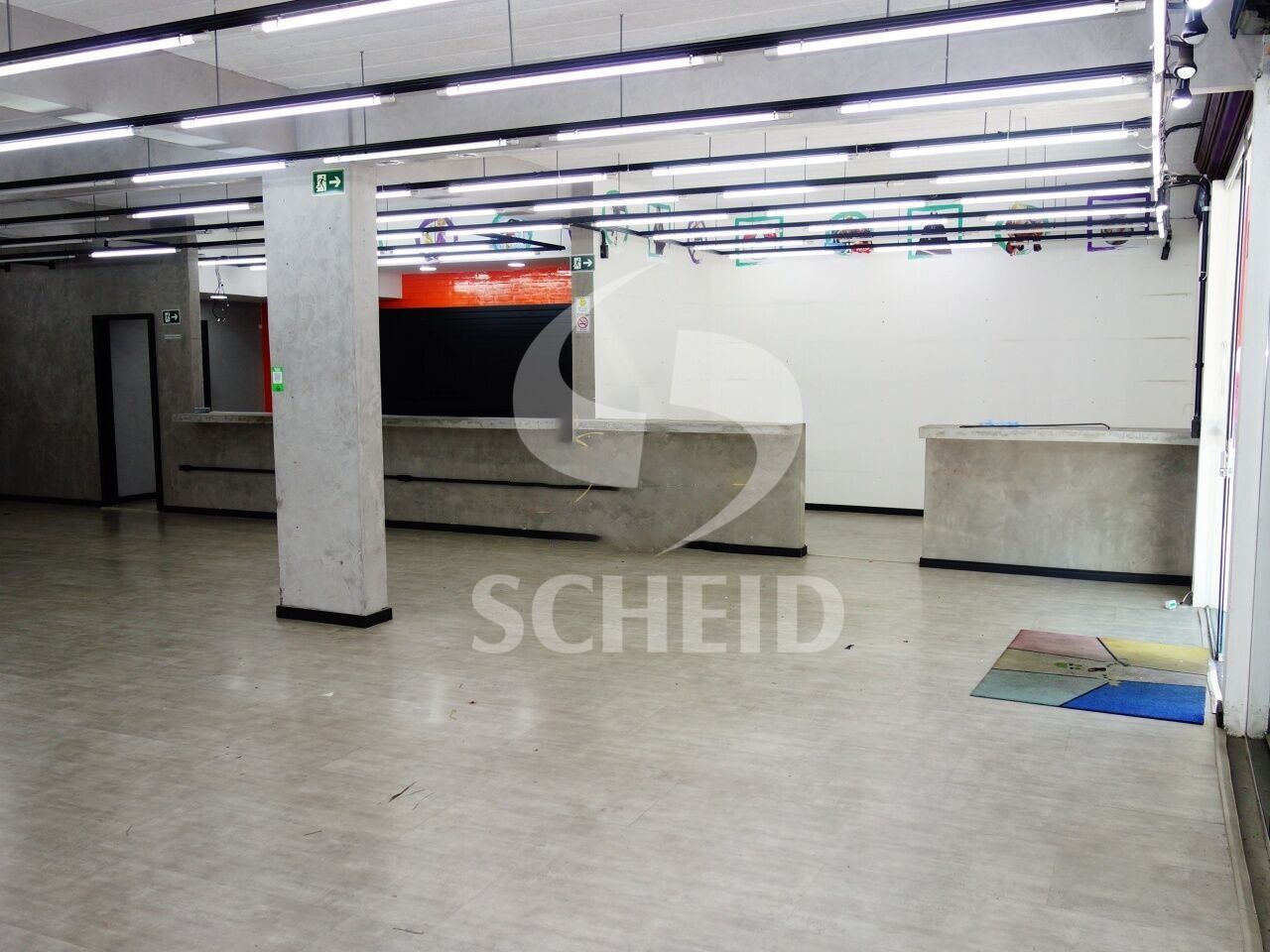 Foto 11