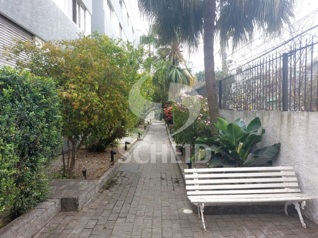 Foto 12