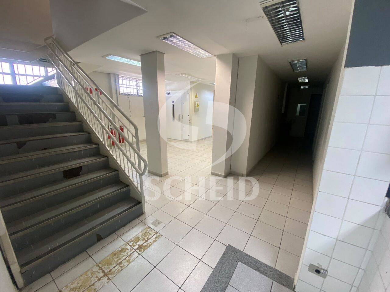 Foto 12