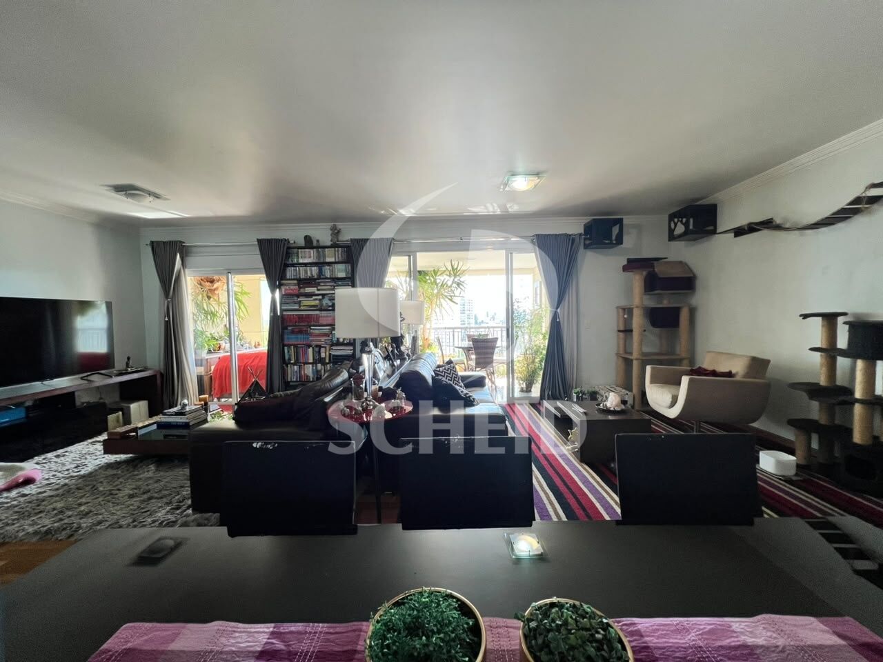 Foto 7
