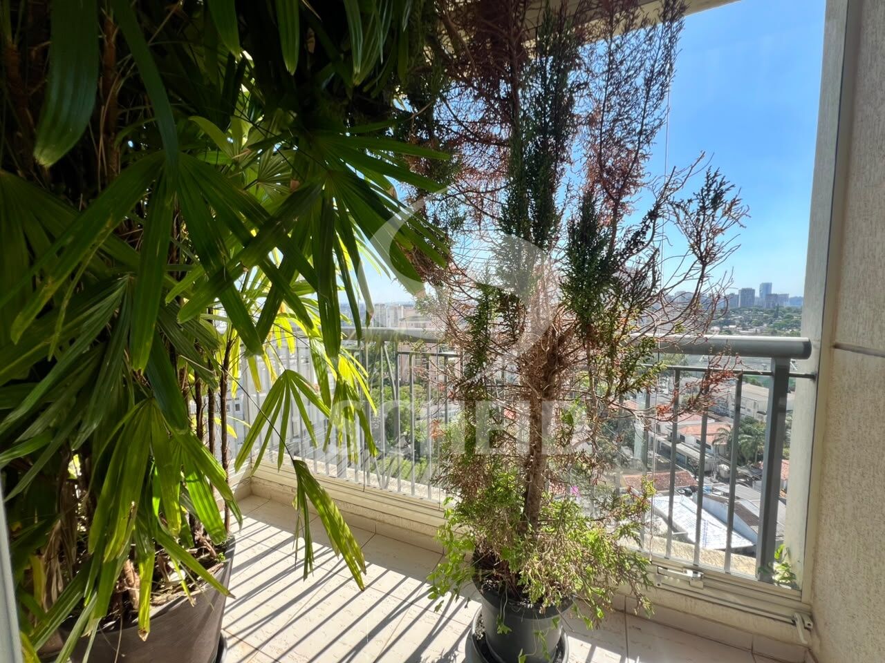 Foto 31