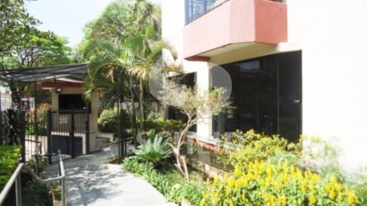 Foto 19