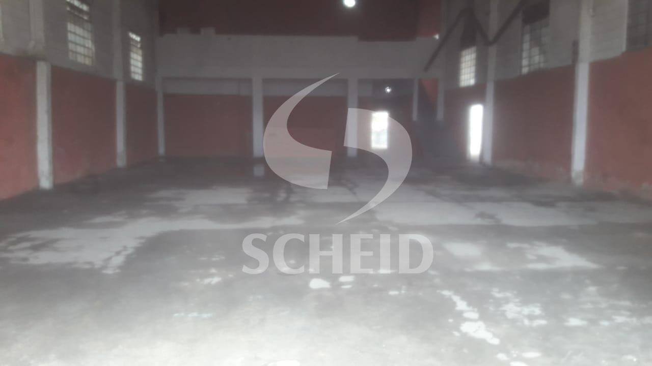 Foto 12