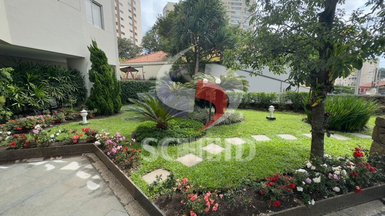 Foto 30