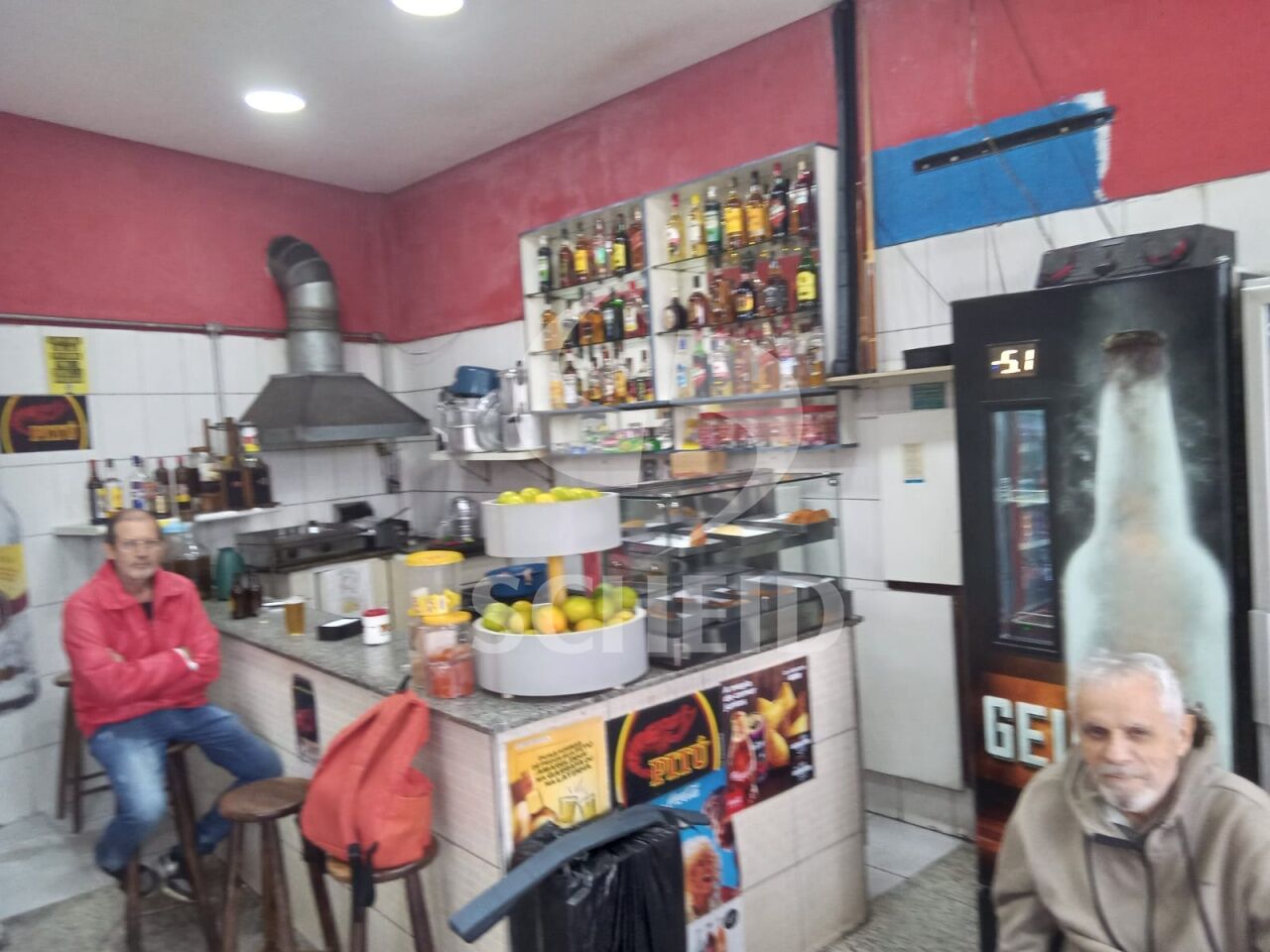Foto 2