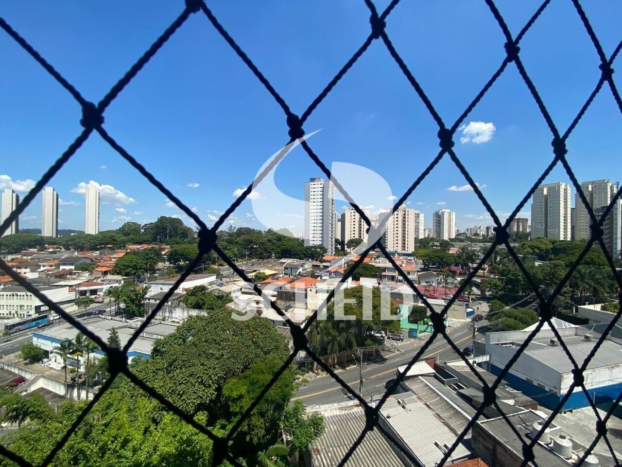Foto 21