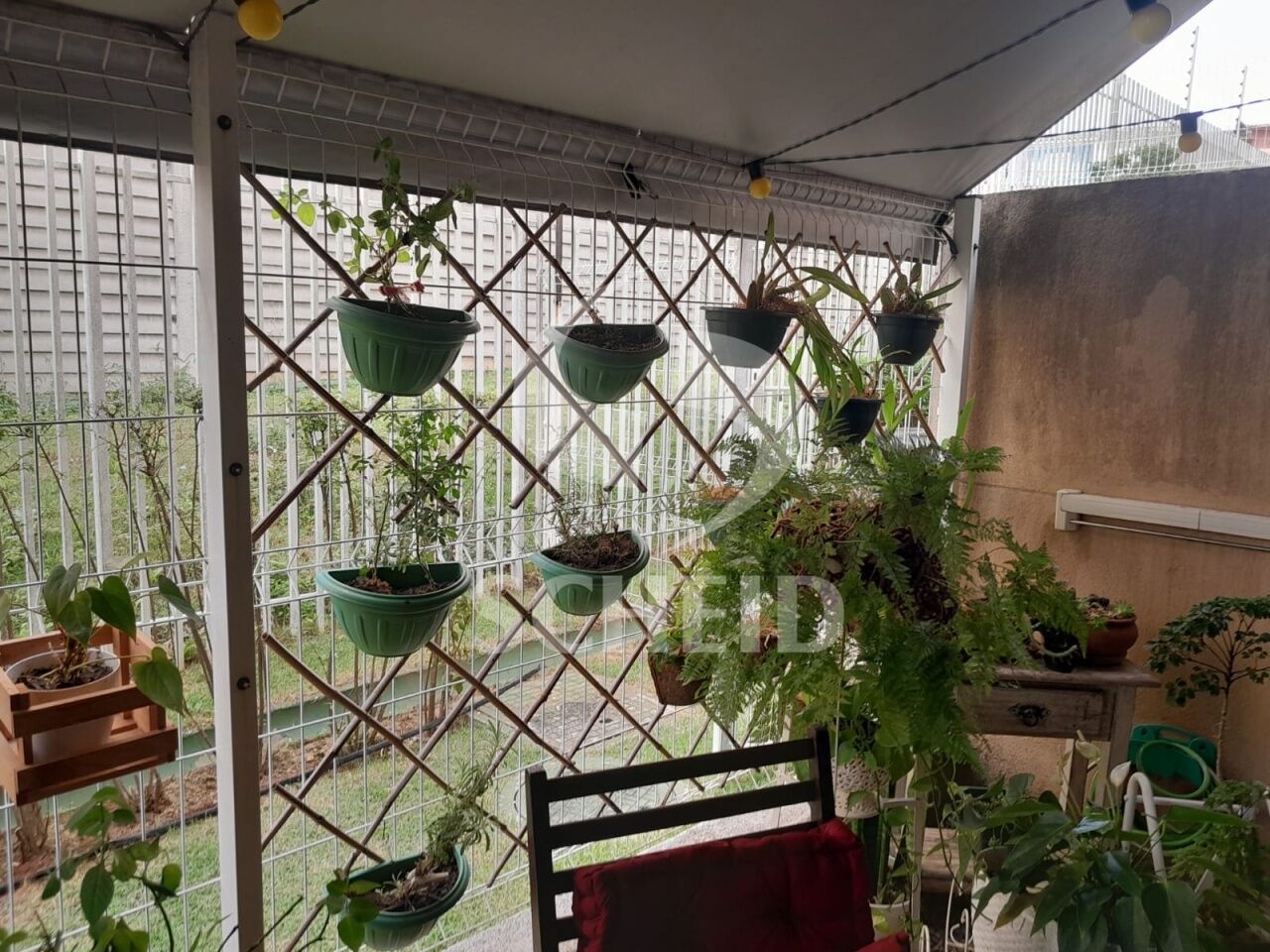 Foto 7