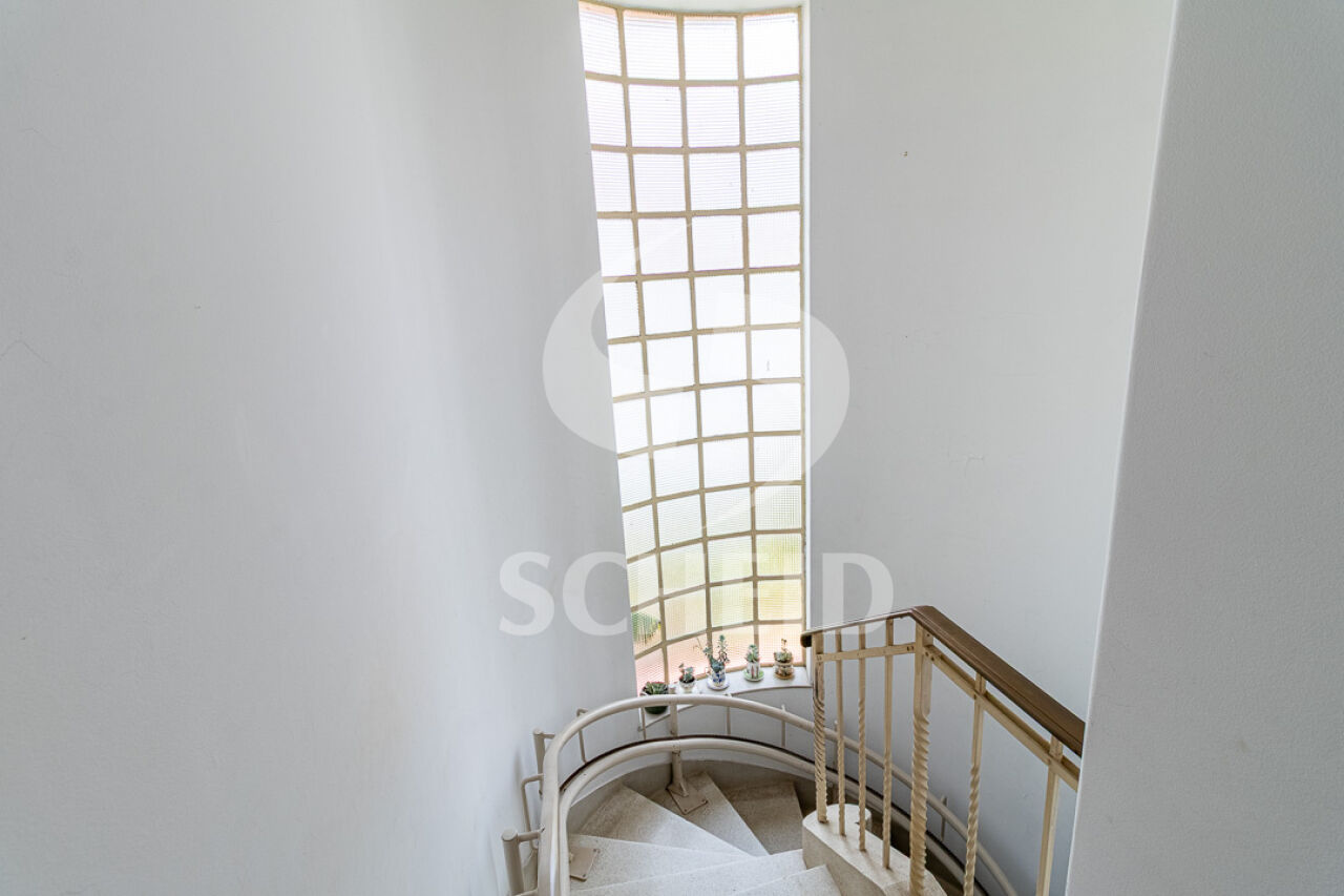 Foto 22