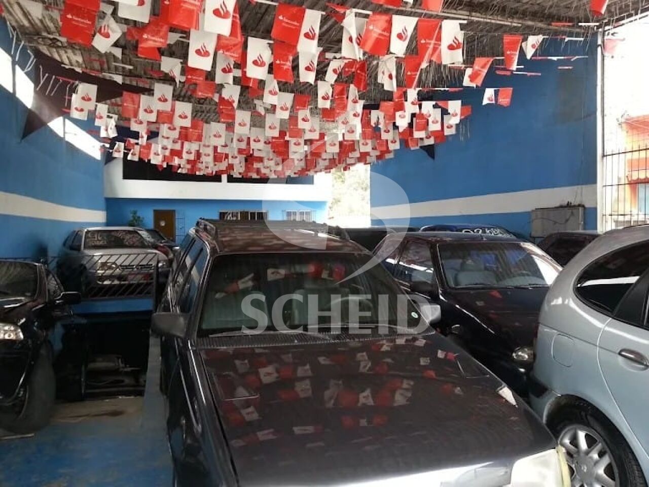 Foto 5