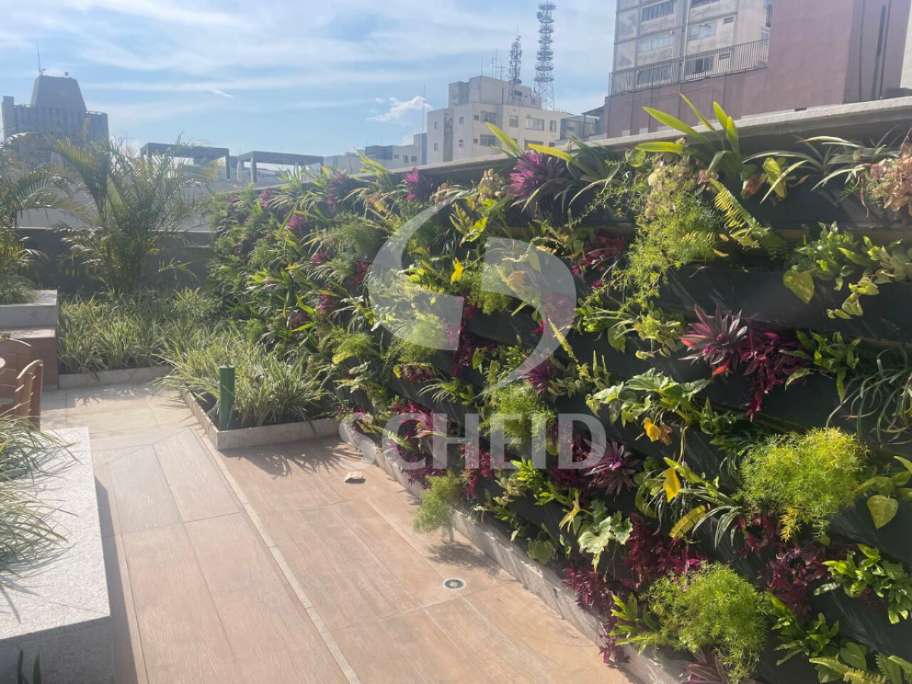Foto 41