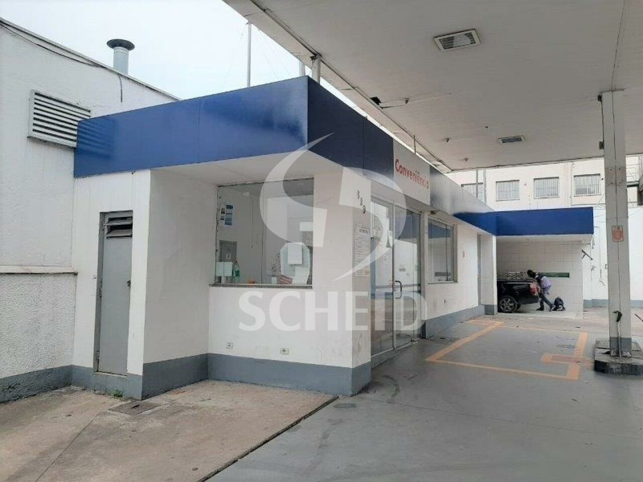 Foto 6