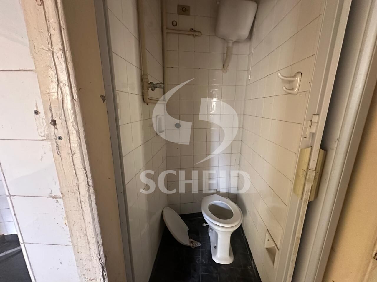 Foto 12