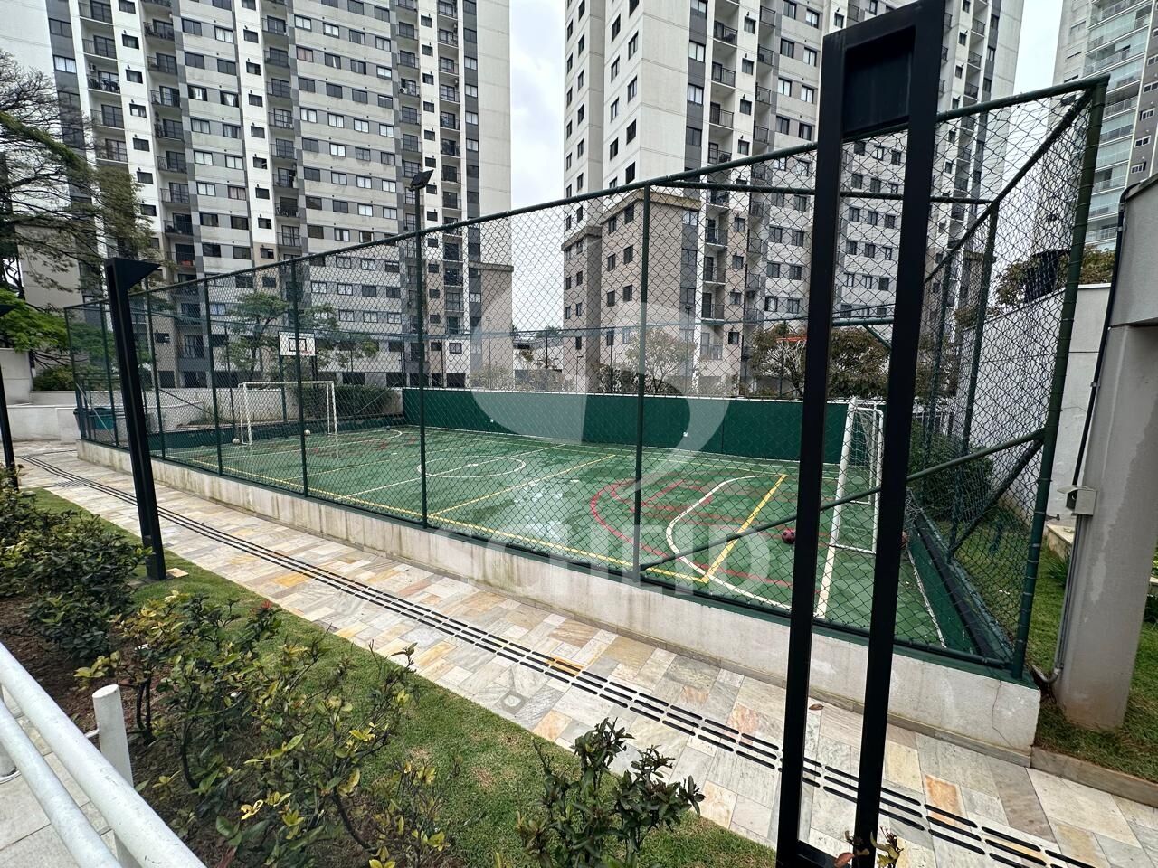Foto 11