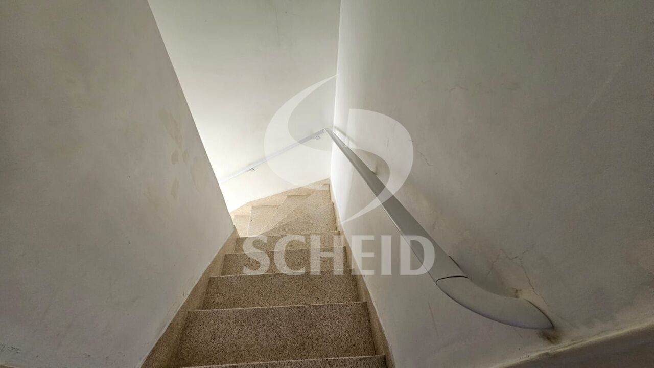 Foto 22