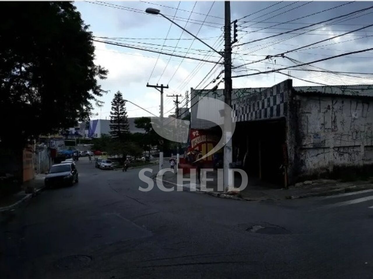 Foto 11