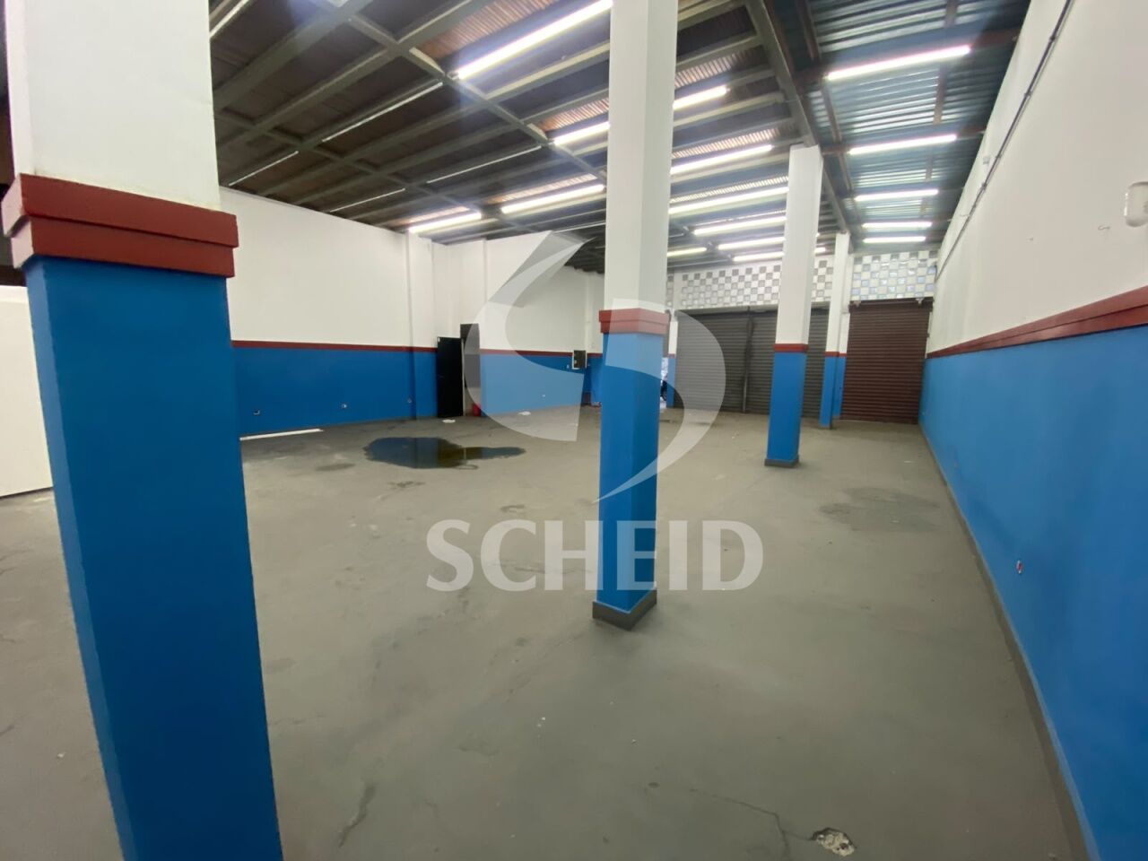 Foto 7