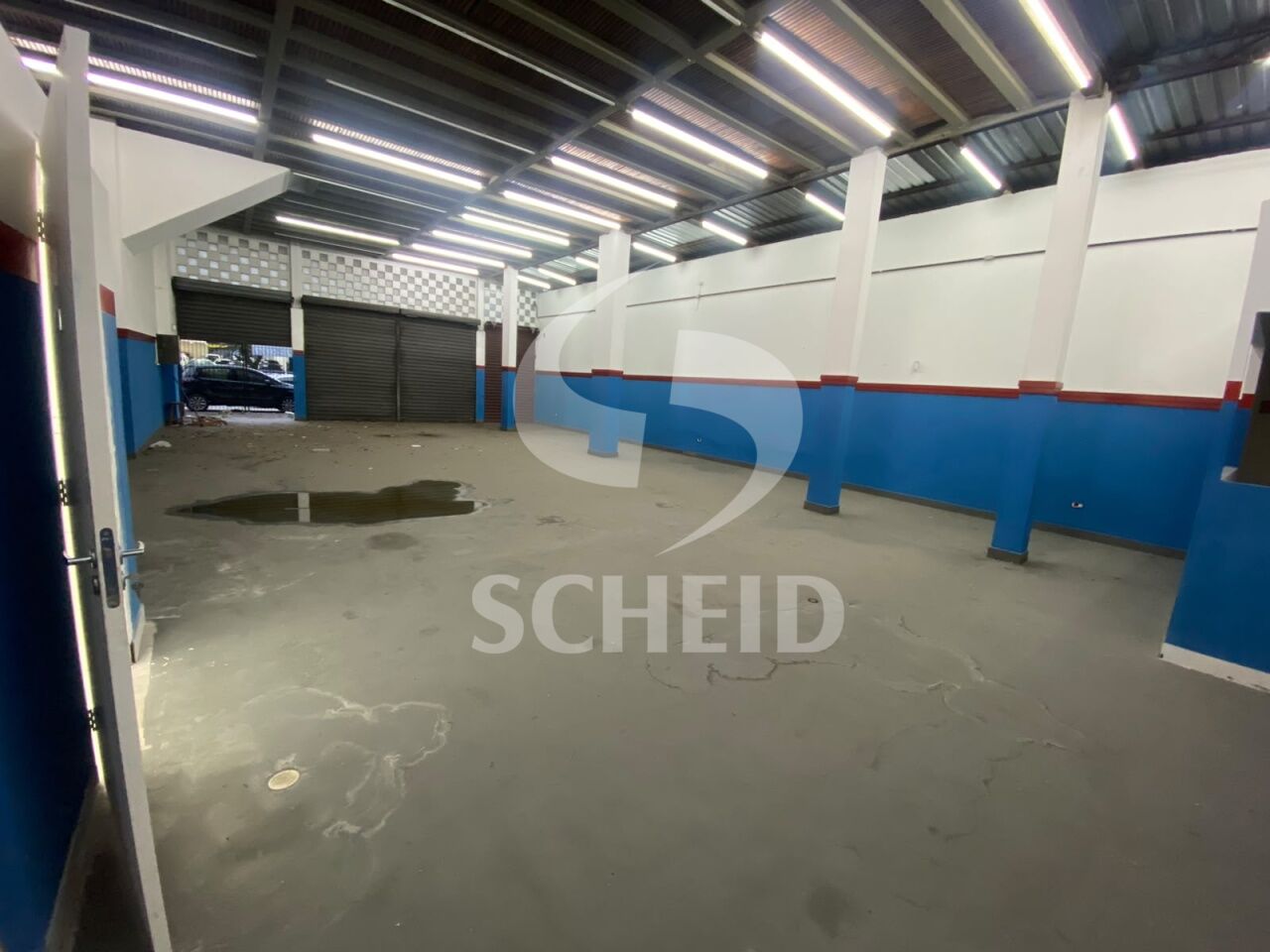 Foto 5