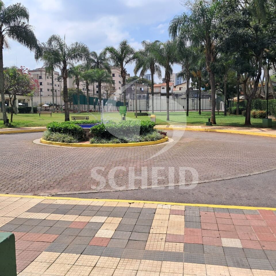 Foto 41