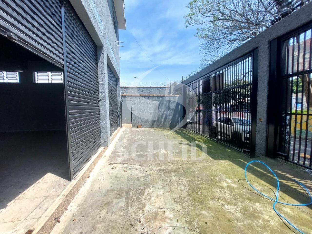 Foto 7