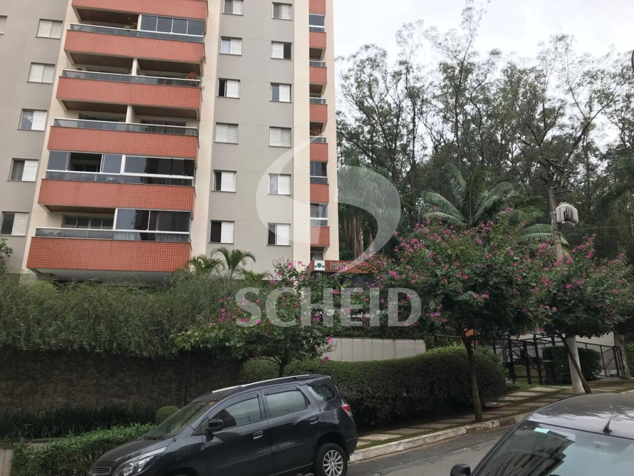 Foto 30