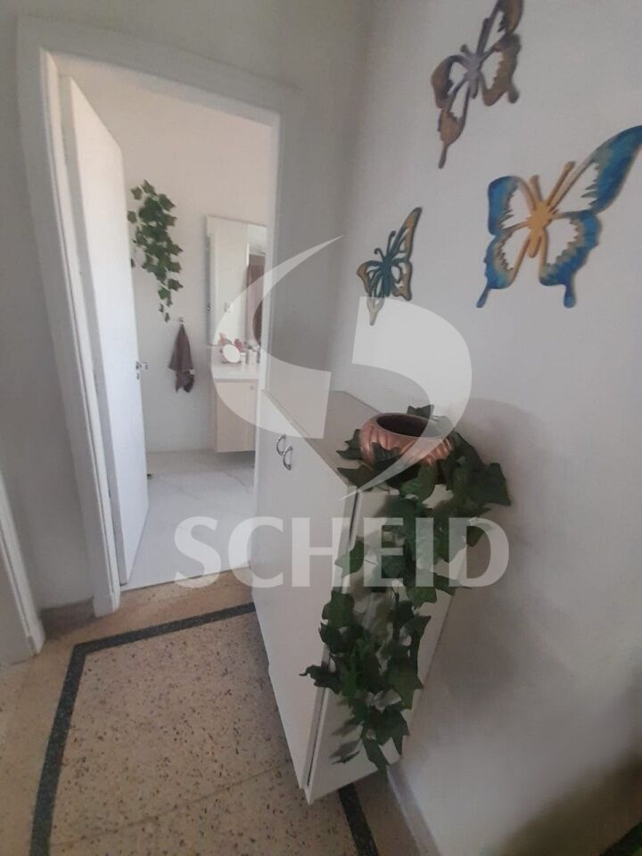 Foto 29