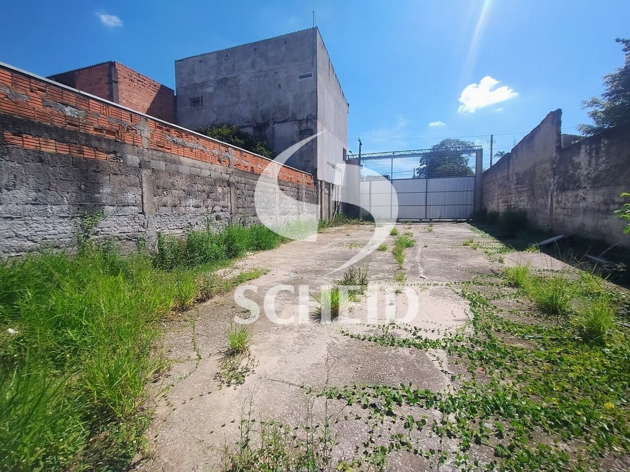 Foto 7